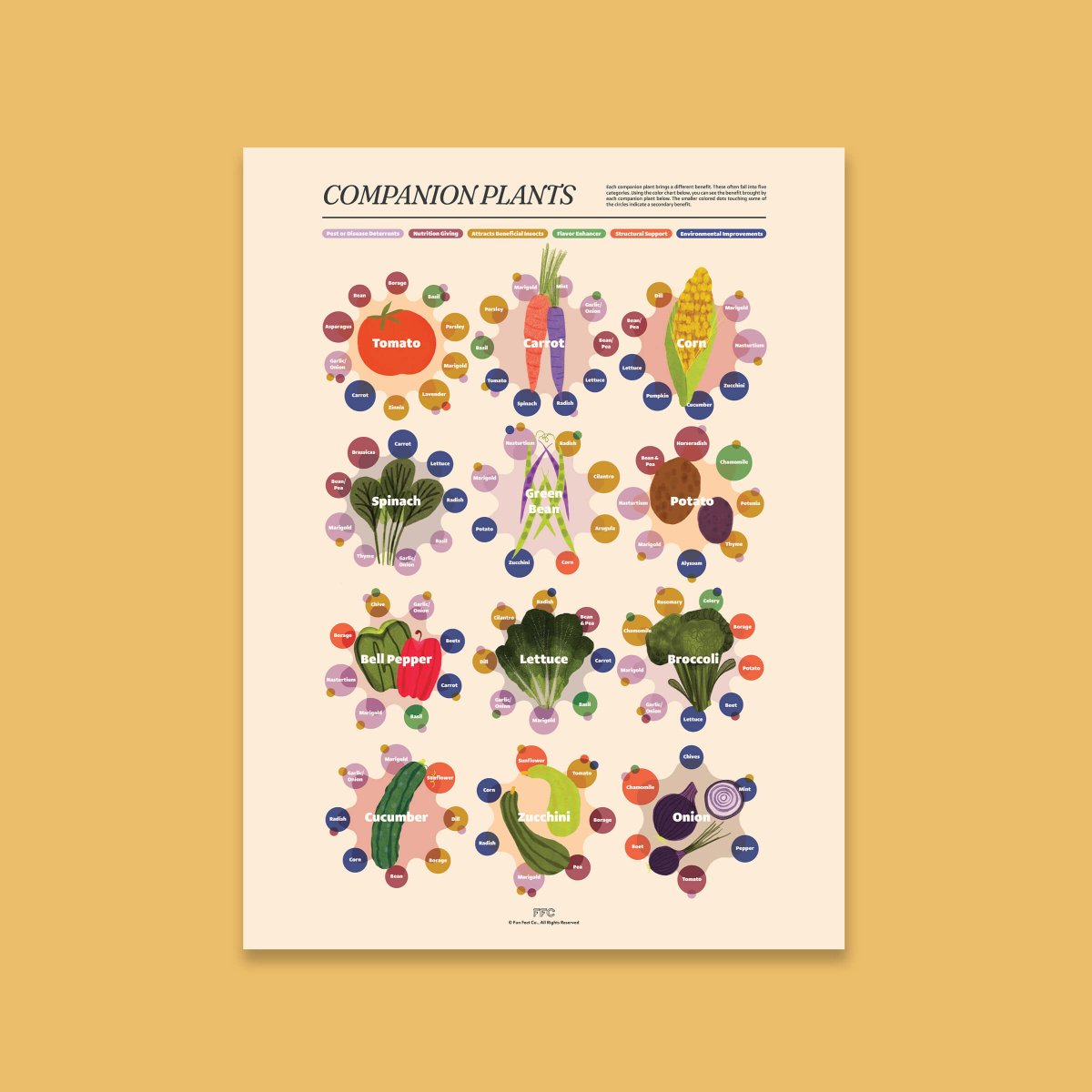 Companion Plants Print - Clevis Barnwell's