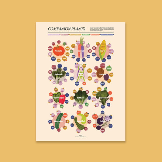Companion Plants Print - Clevis Barnwell's