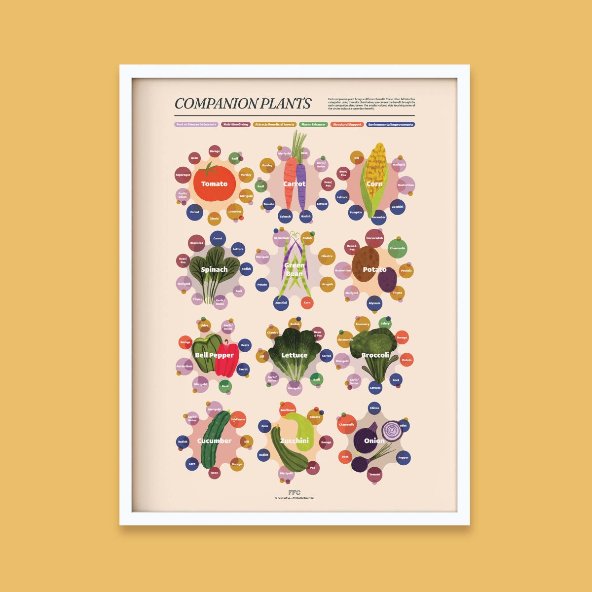 Companion Plants Print - Clevis Barnwell's