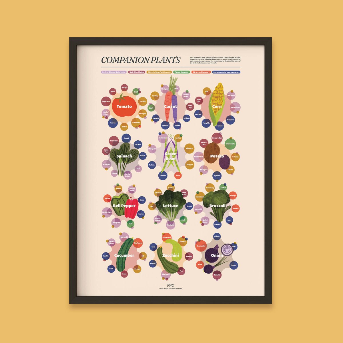 Companion Plants Print - Clevis Barnwell's