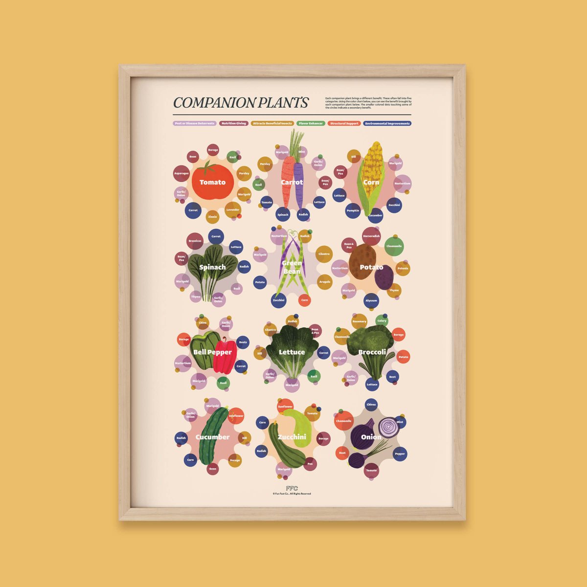 Companion Plants Print - Clevis Barnwell's