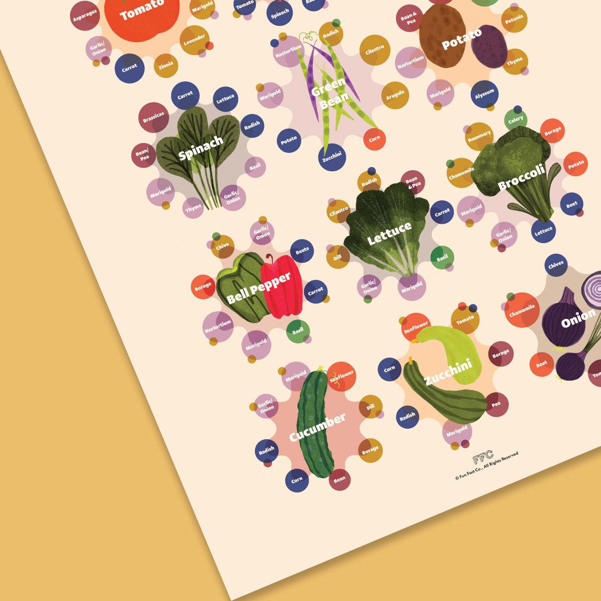 Companion Plants Print - Clevis Barnwell's