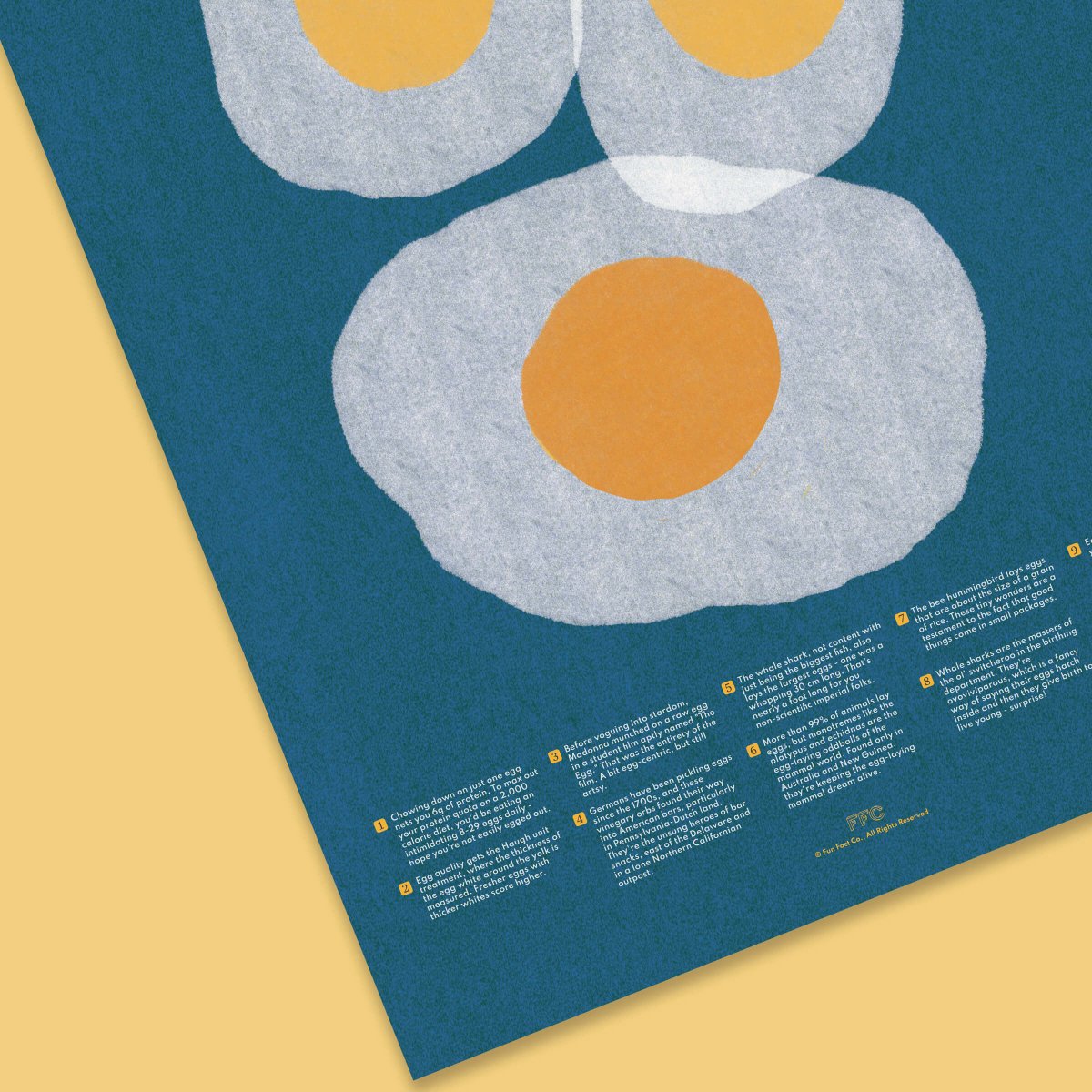 Egg Fun Facts Print - Clevis Barnwell's