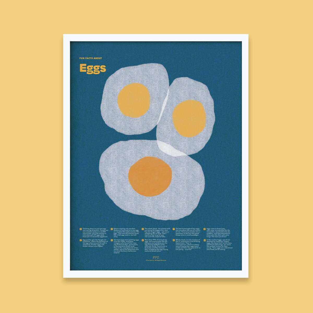 Egg Fun Facts Print - Clevis Barnwell's